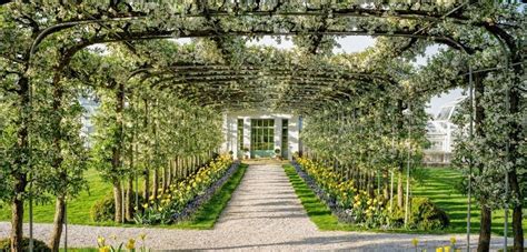 givenchy bunn|Step Inside Bunny Mellon's Glorious Gardens .